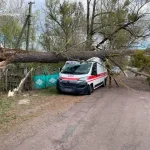 Через сильний вітер у селі на Житомирщині дерево впало на автомобіль "швидкої"