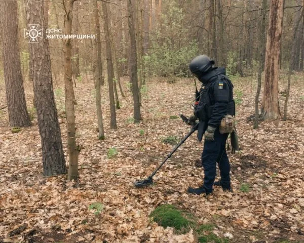 Сапери знешкодили артснаряд, який був виявлений у селі неподалік Житомира
