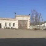 Розслідування на Звягельщині: поліція та прокуратура перевіряють причини масової загибелі тварин на ДП «Рихальське»