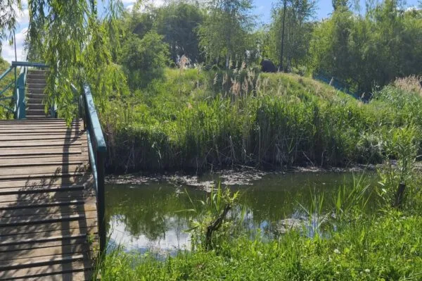 Брудна вода та сморід: екологи візьмуть проби з Крошенського ставка у Житомирі