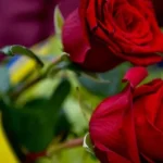 У Житомирі попрощалися з військовим Олегом Вігорієм