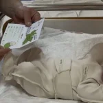 Наслідки хронічного стресу: чому у Житомирі новонародженим почали масово перевіряти мозок та серце
