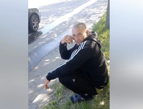 У Бердичеві нетверезий водій припинив рух через кота, який стрибнув на авто. ВІДЕО