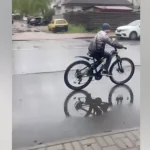 У Житомирі підліток на велосипеді вдарив перехожу дівчину та втік