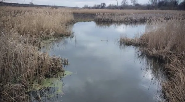 Трагедія на воді: у селі Гальчин на Житомирщині виявили тіло жінки