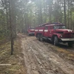 У Поліському заповіднику на Житомирщині локалізували пожежу на площі 500 га