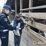 У Житомирі поліцейські психологи організували реабілітацію для родини воїна. ФОТО